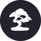 Sensei logo